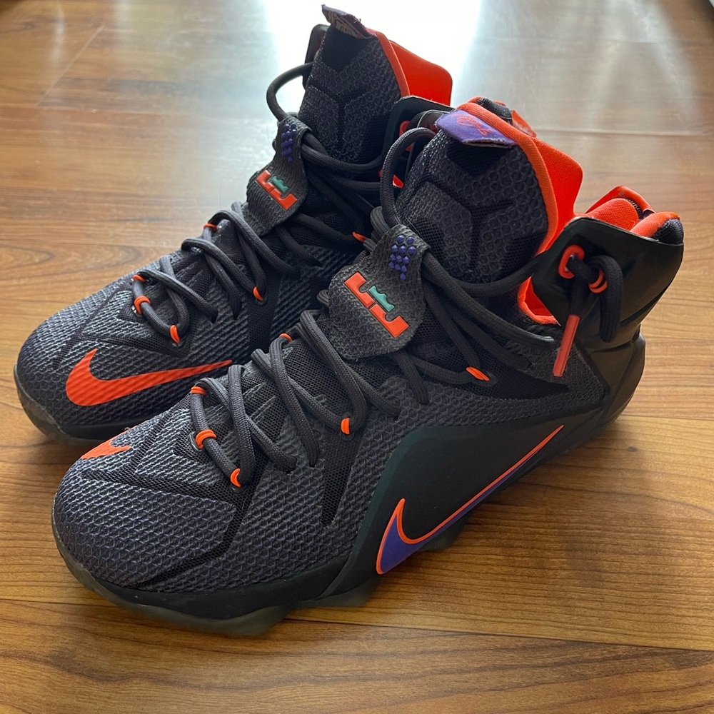 Lebron 12 instinct